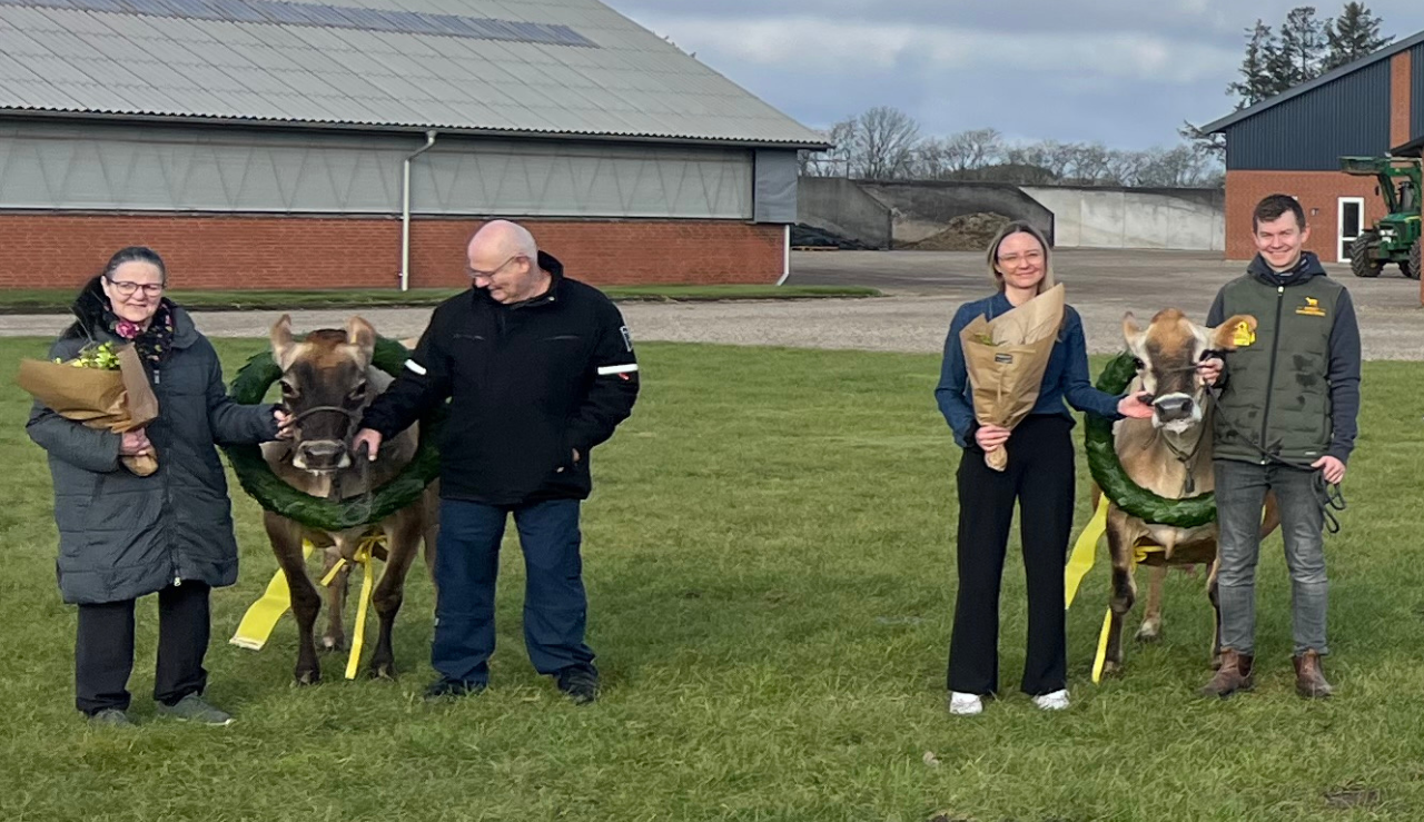 Ko Nr. 01872&nbsp;Og 00062