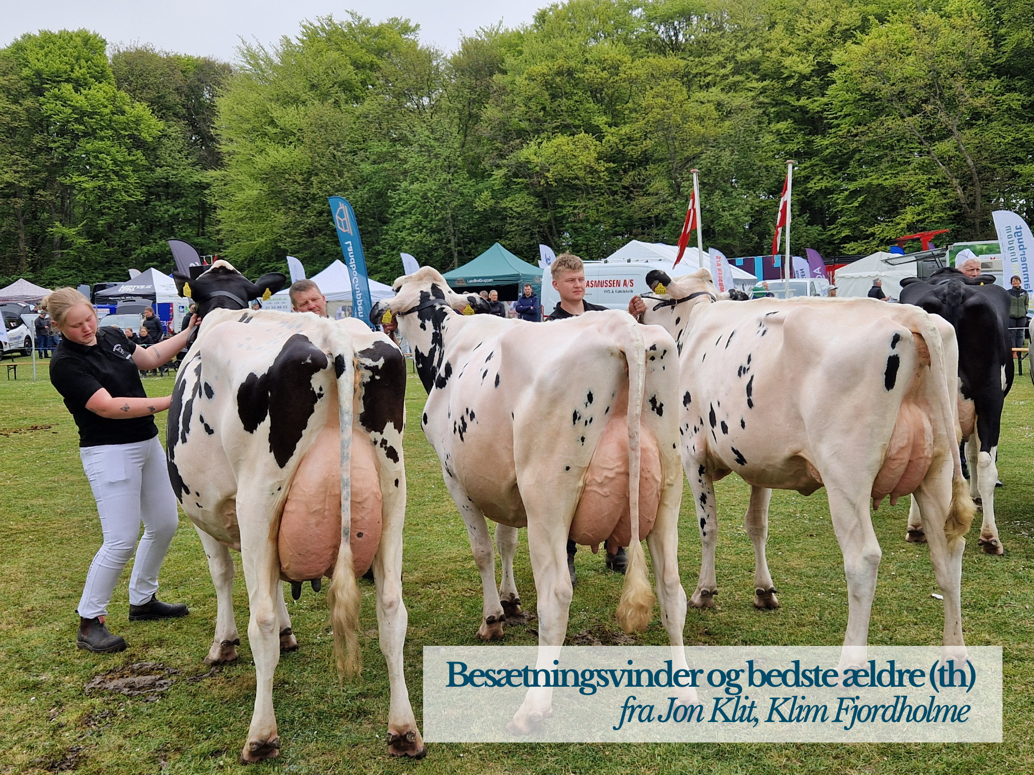 Besætningsvinder Og Bedste Ældre