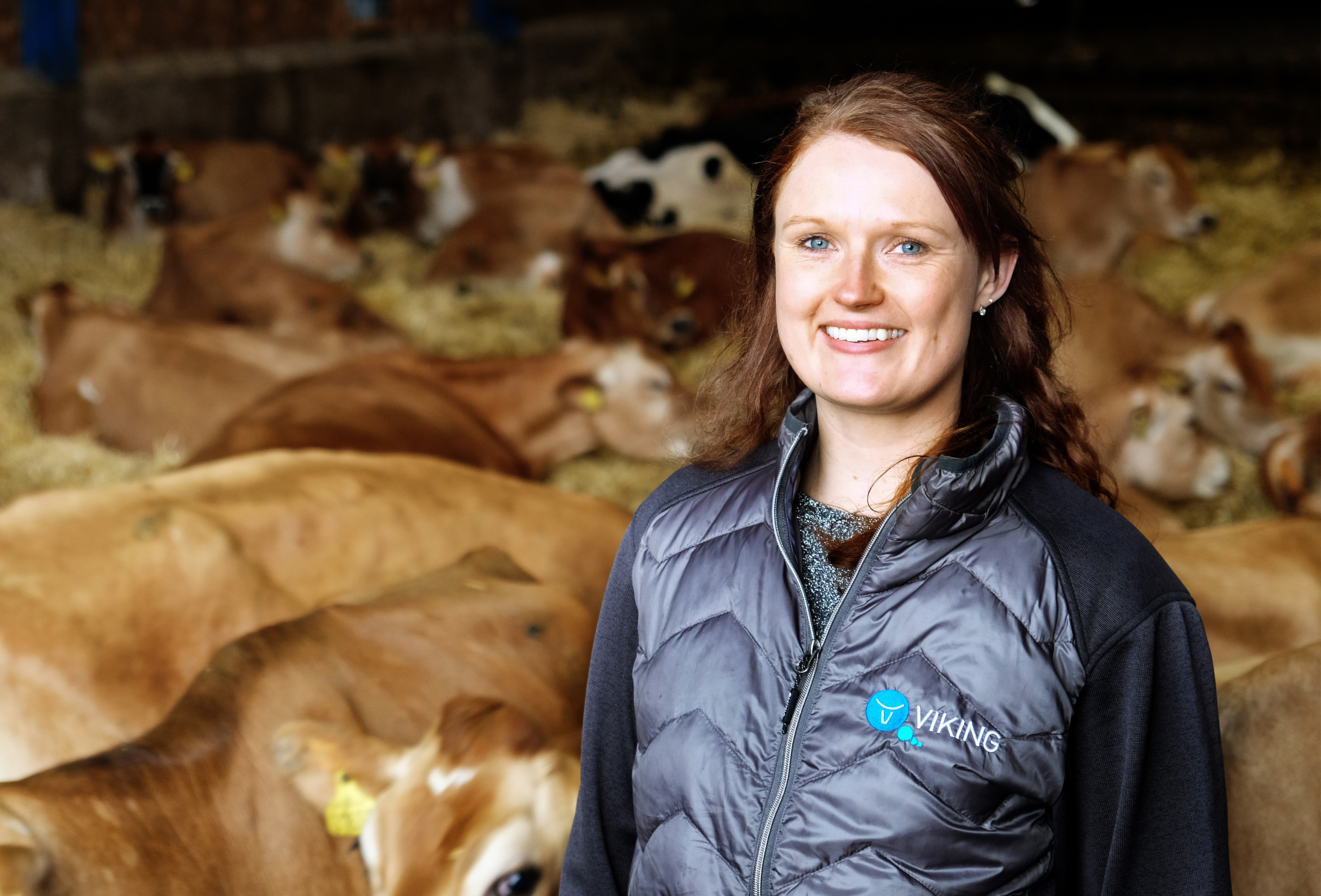 Avlsrådgiver Dscf5496 Vn Srgb Web