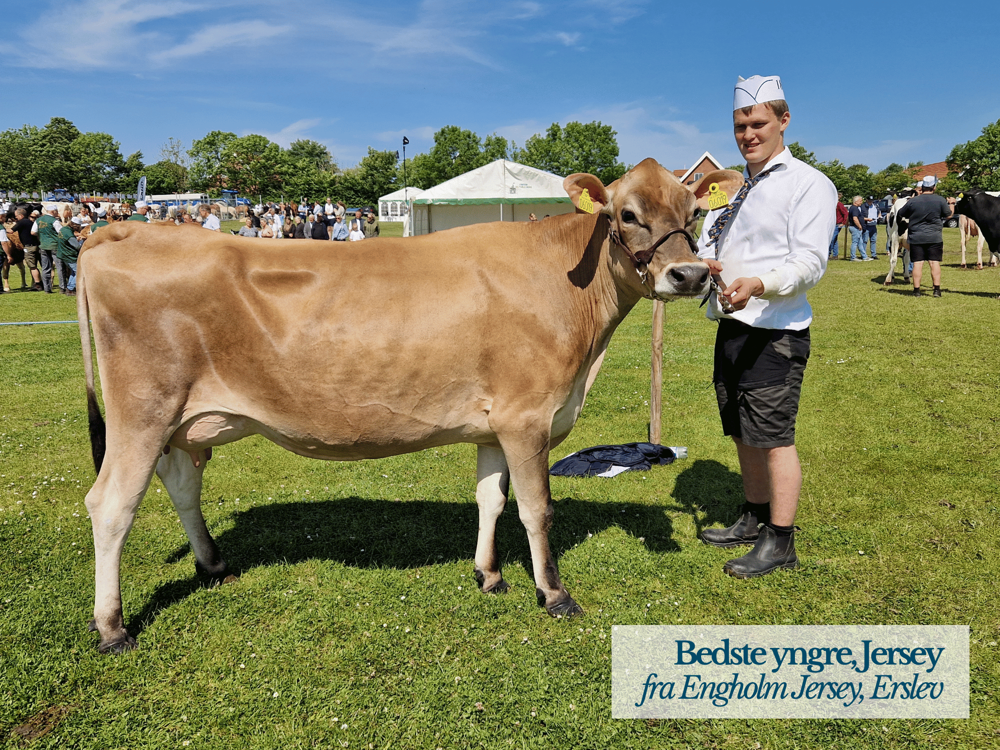 Bedste Yngre Jersey, Thy Mors Dyrskue 2025