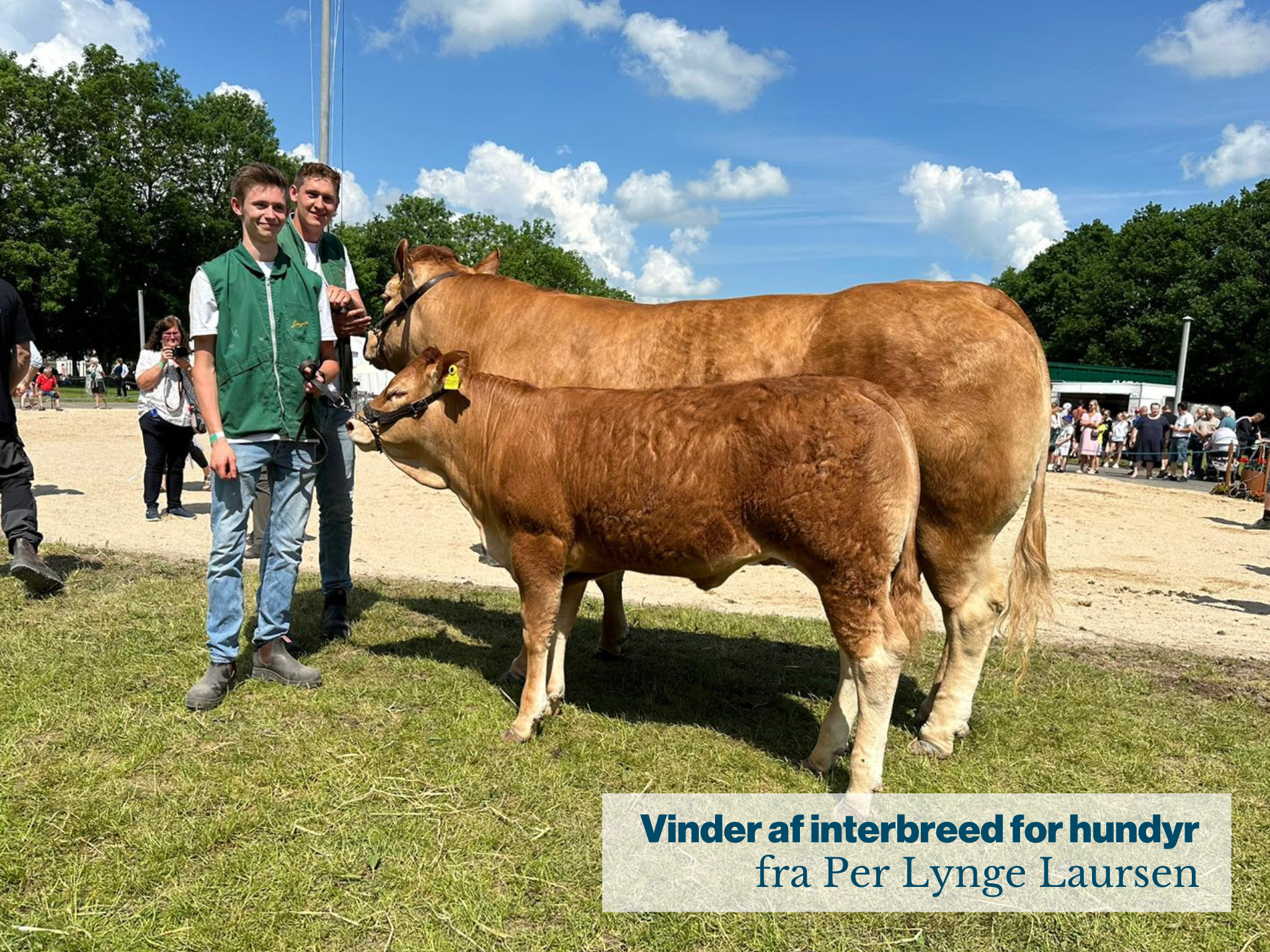 Interbreed Vinder For Hundyr I Hobro Fra Per Lynge Laursen
