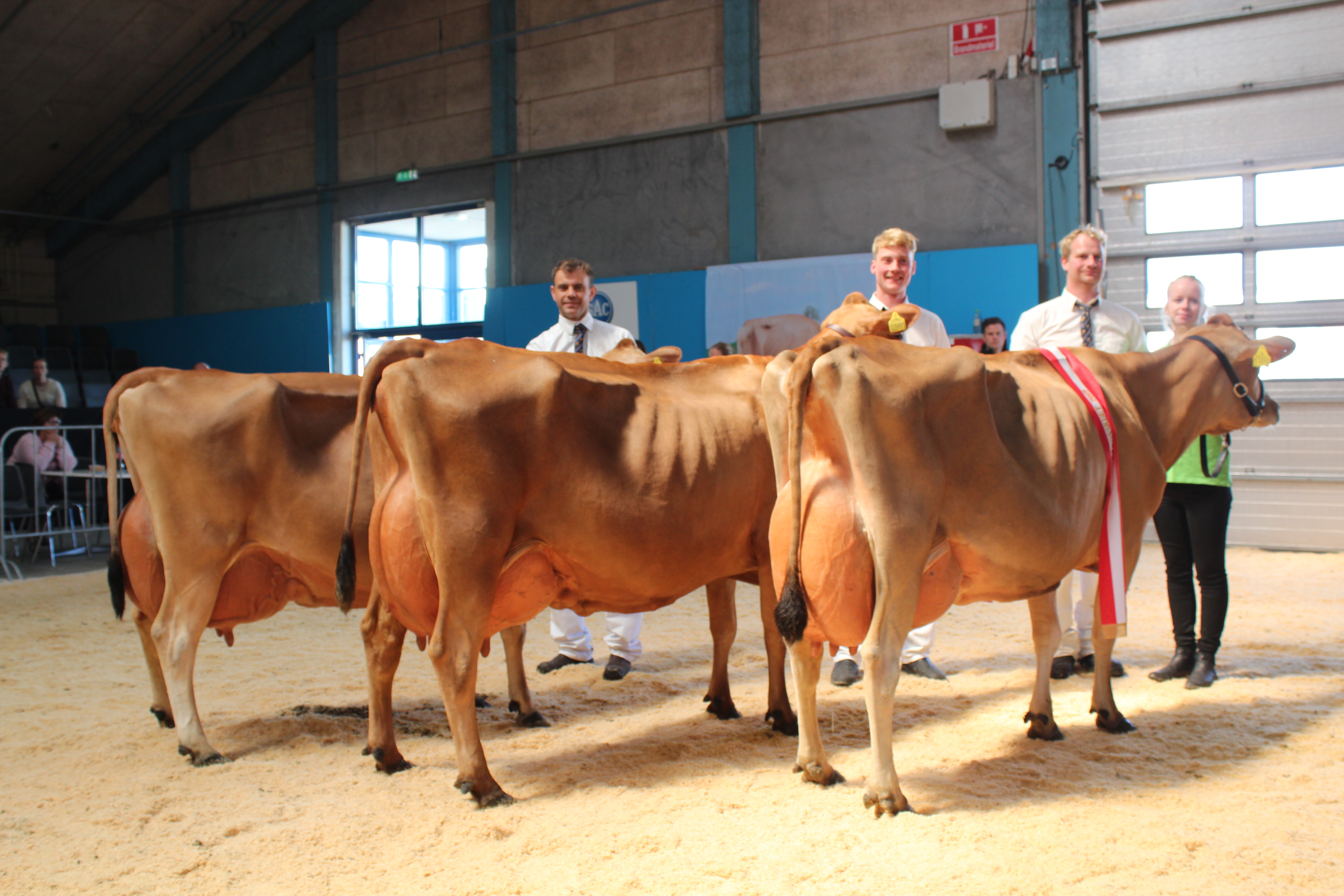 Bedste Besætningsgr. Jersey Fra Tastum Jersey, Viborg