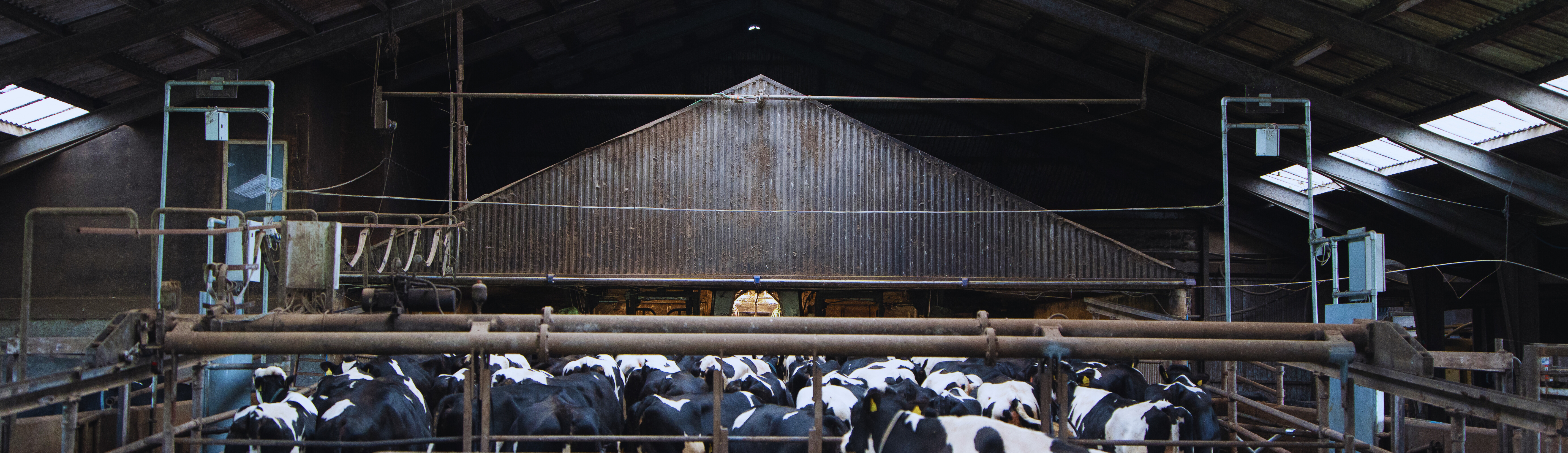CowFIT-anlæg i stald