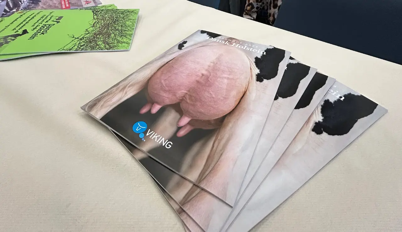 Holstein Årsmødekatalog