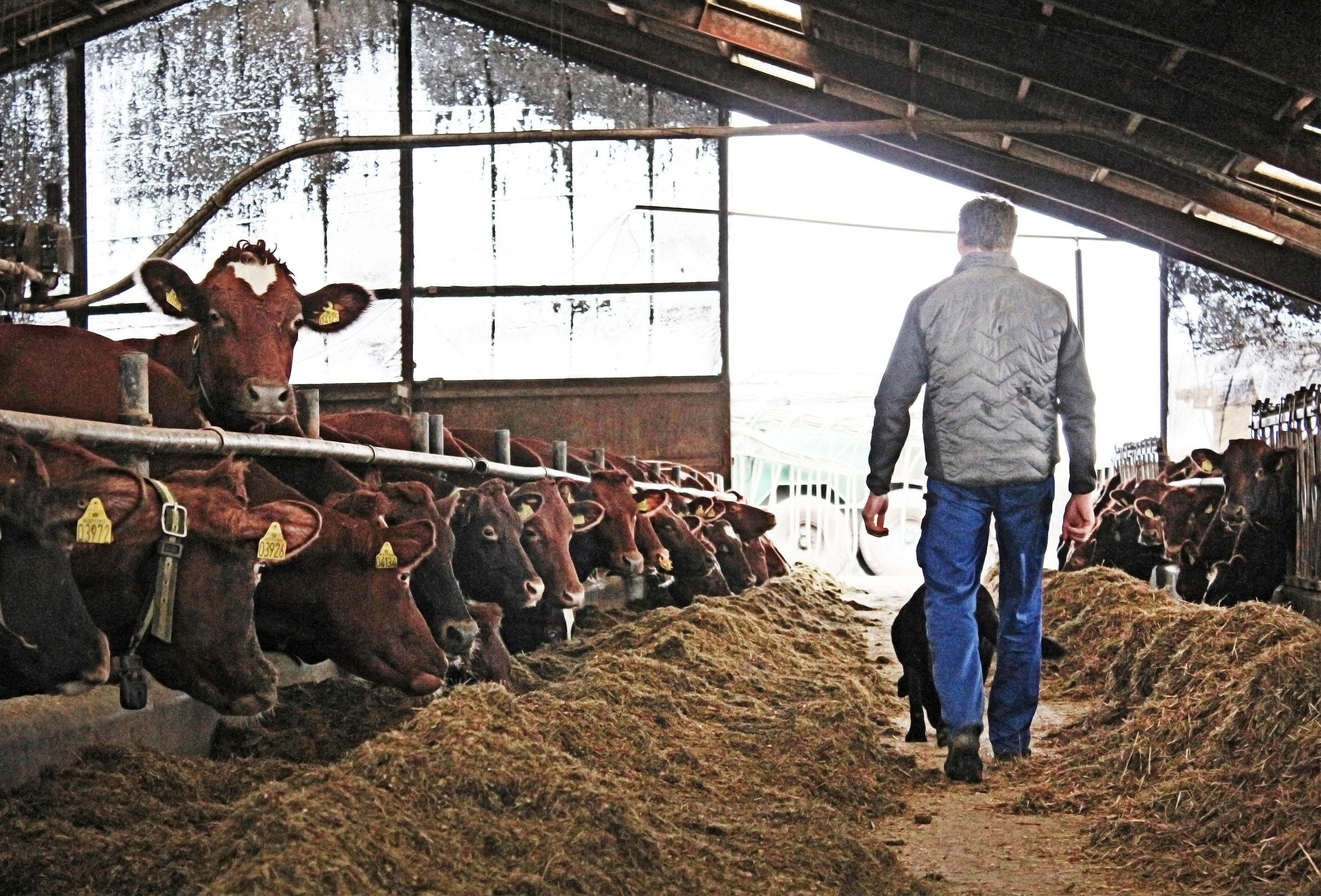 IMG 4905 Vn Srgb Web