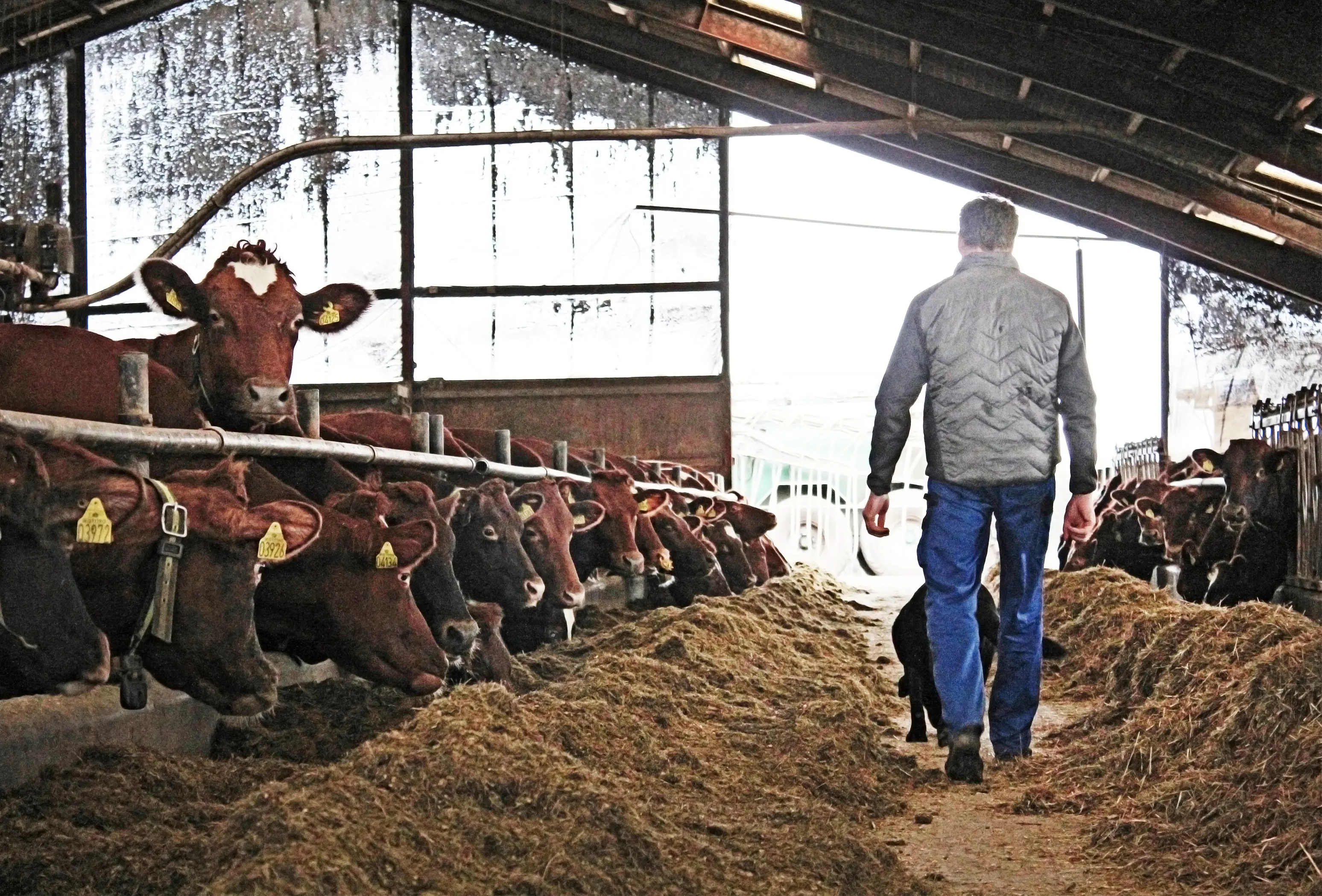 IMG 4905 Vn Srgb Web