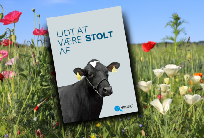 Holstein Design Uden Navn 7