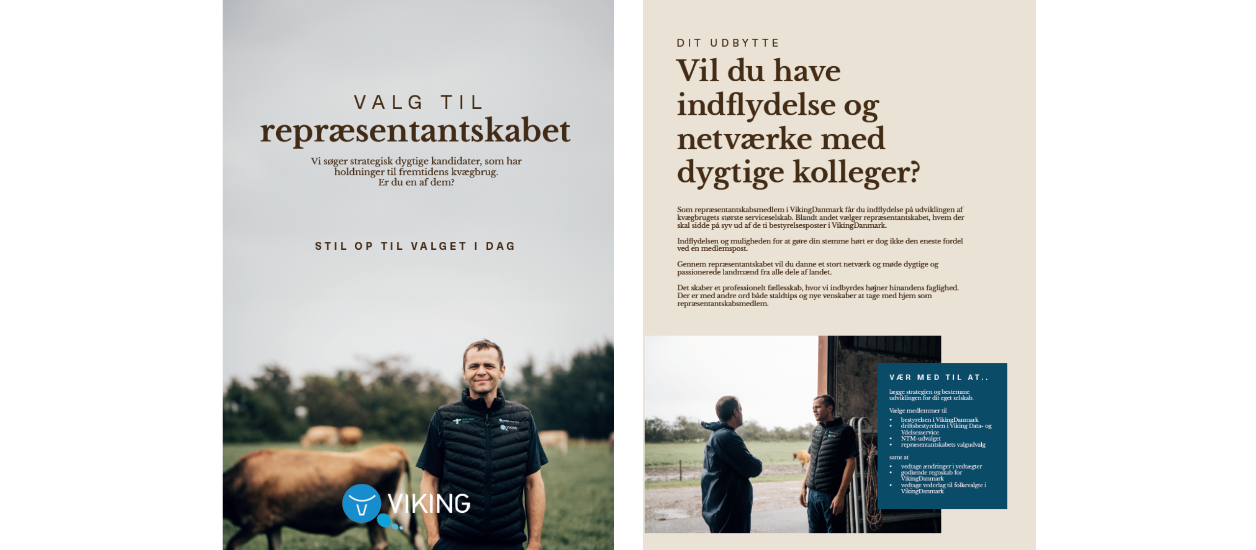 Forsiden Af Folderen Valg Til Repræsentantskabet