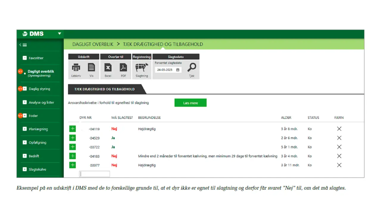 Eksempel På Udskriften I DMS