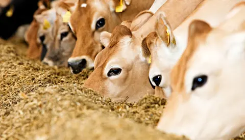 EG1605043 2 Vn Srgb Web