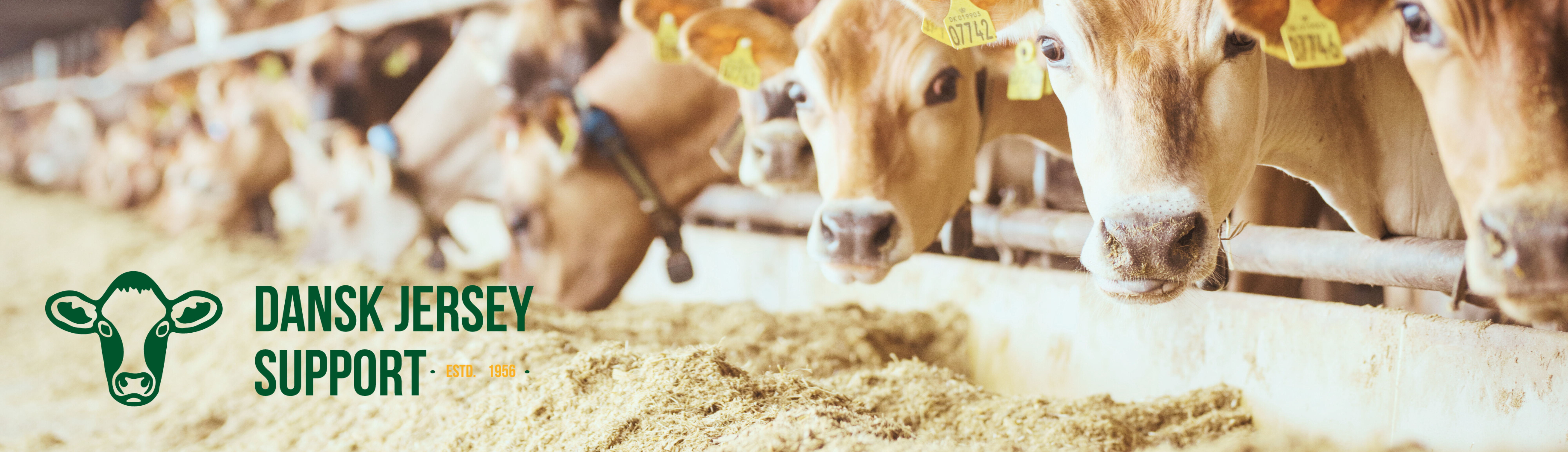Indkaldelse Til Generalforsamling I Dansk Jersey Support