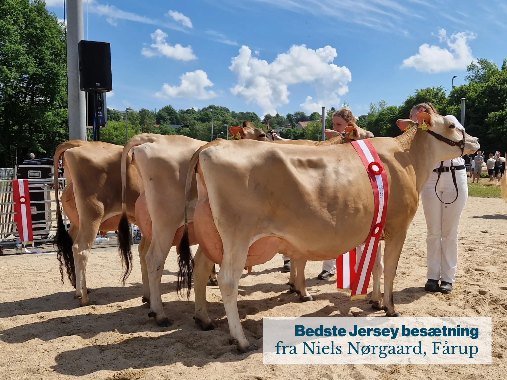 Bedste Jersey Besætning Fra Nield Nørgaard, Fårup