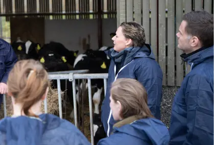Kalve Med En Estimeret Høj Daglig Tilvækst Opnår Markant Højere Værdi End Kalve Med Lav Tilvækst