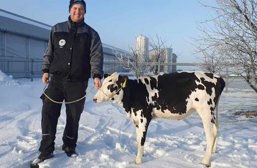 Højest Testede Kvie 2