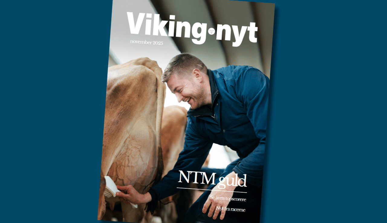 Forsiden Af Vikingnyt November 2025