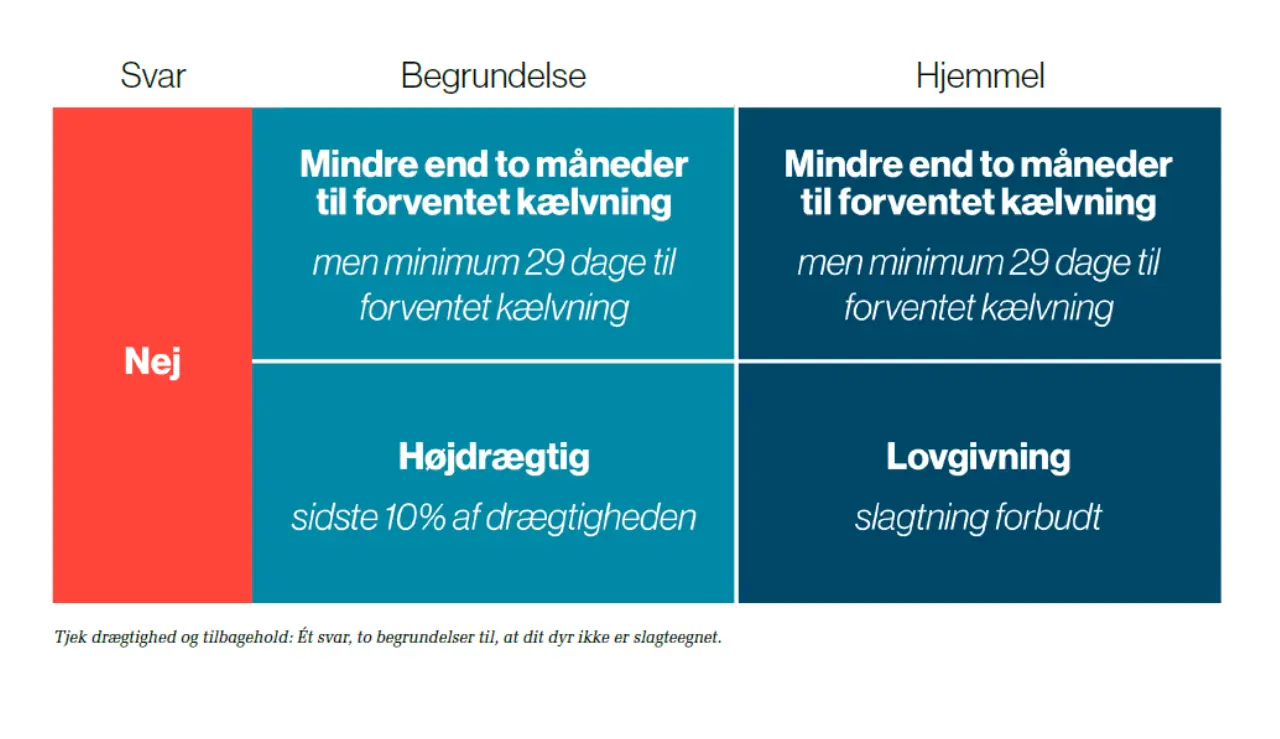Tjek Drægtighed Og Tilbagehold Ét Svar, To Begrundelser Til, At Dit Dyr Ikke Er Slagteegnet