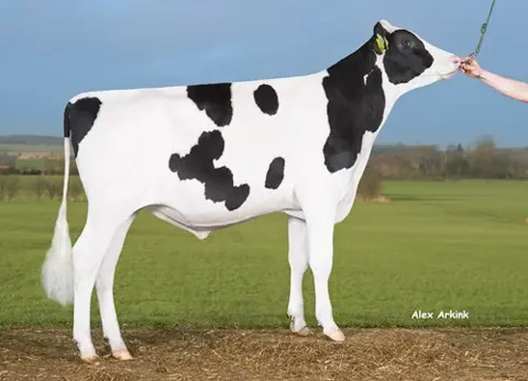 Vh Monty P Milford P Young