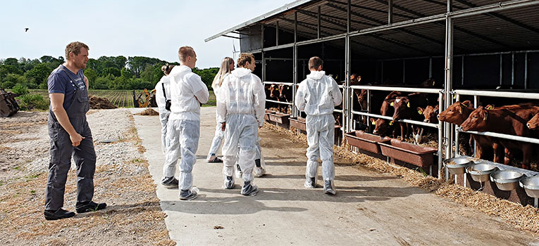 83381150 283859906099154 3977423037908647936