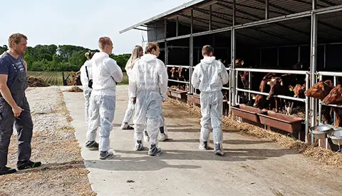 83381150 283859906099154 3977423037908647936