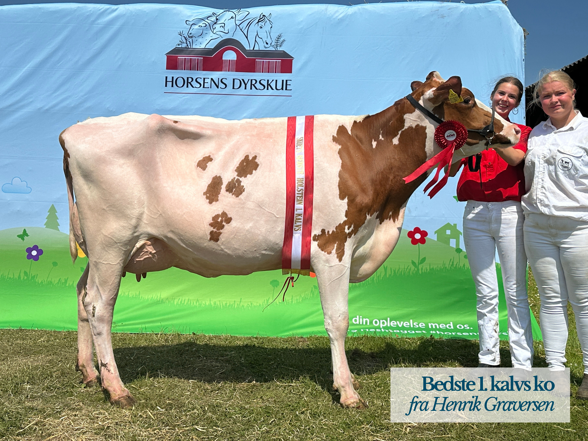 Bedste 1. Kalvs, Henrik Graversen