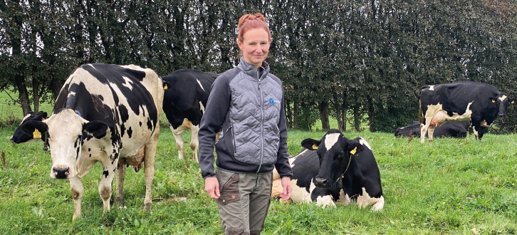 Article Entry Line 8144