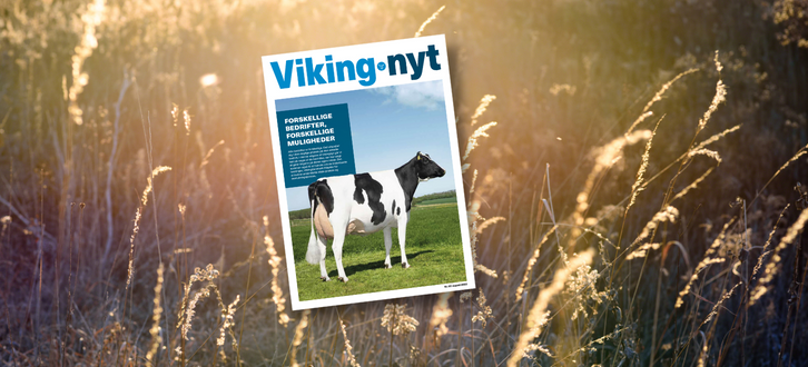Vikingnyt Maj 2022
