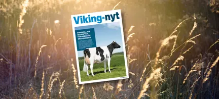 Vikingnyt Maj 2022