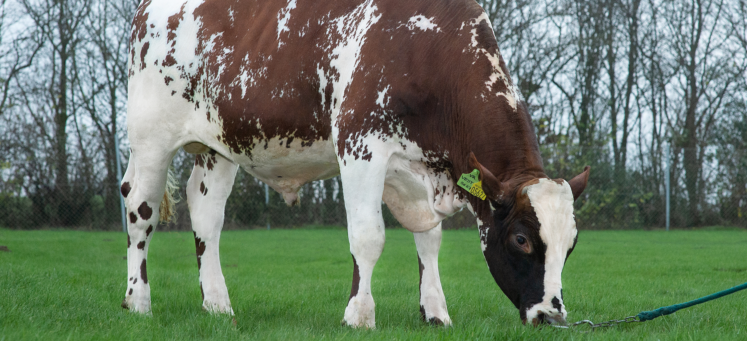 VR Vesty Stemning 38290 Forside