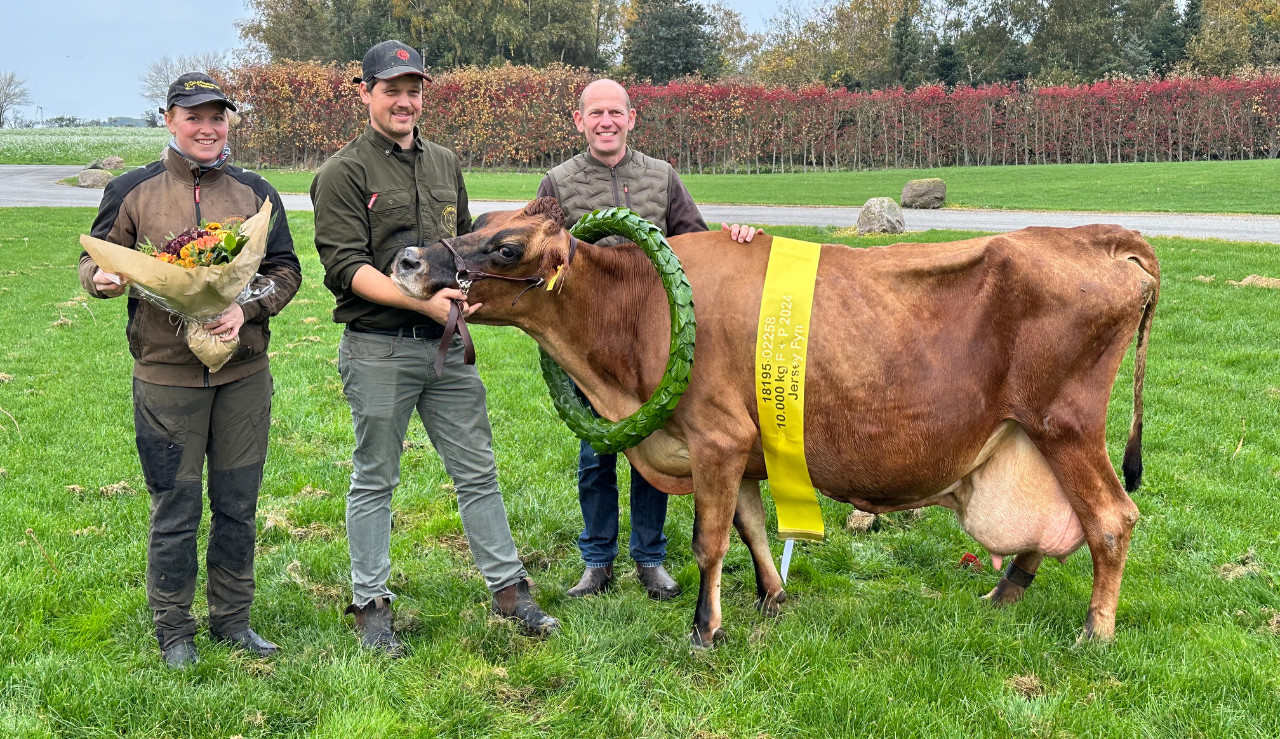 Ko Nr. 2258 Fra Fra Andekærgaard