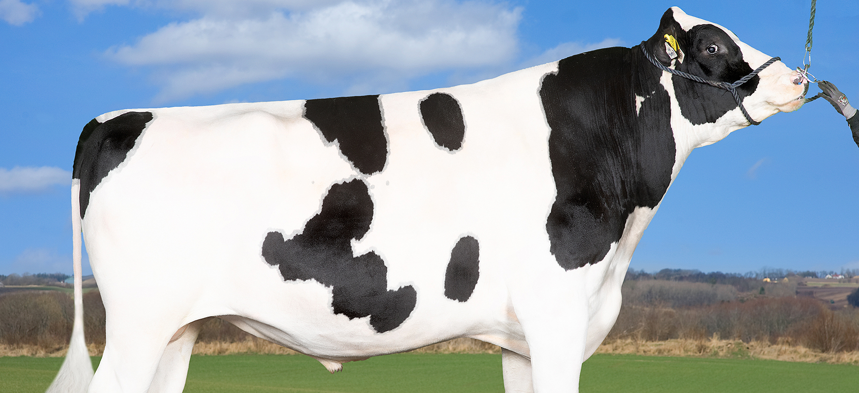 VH Monty P (Milford P) Forside