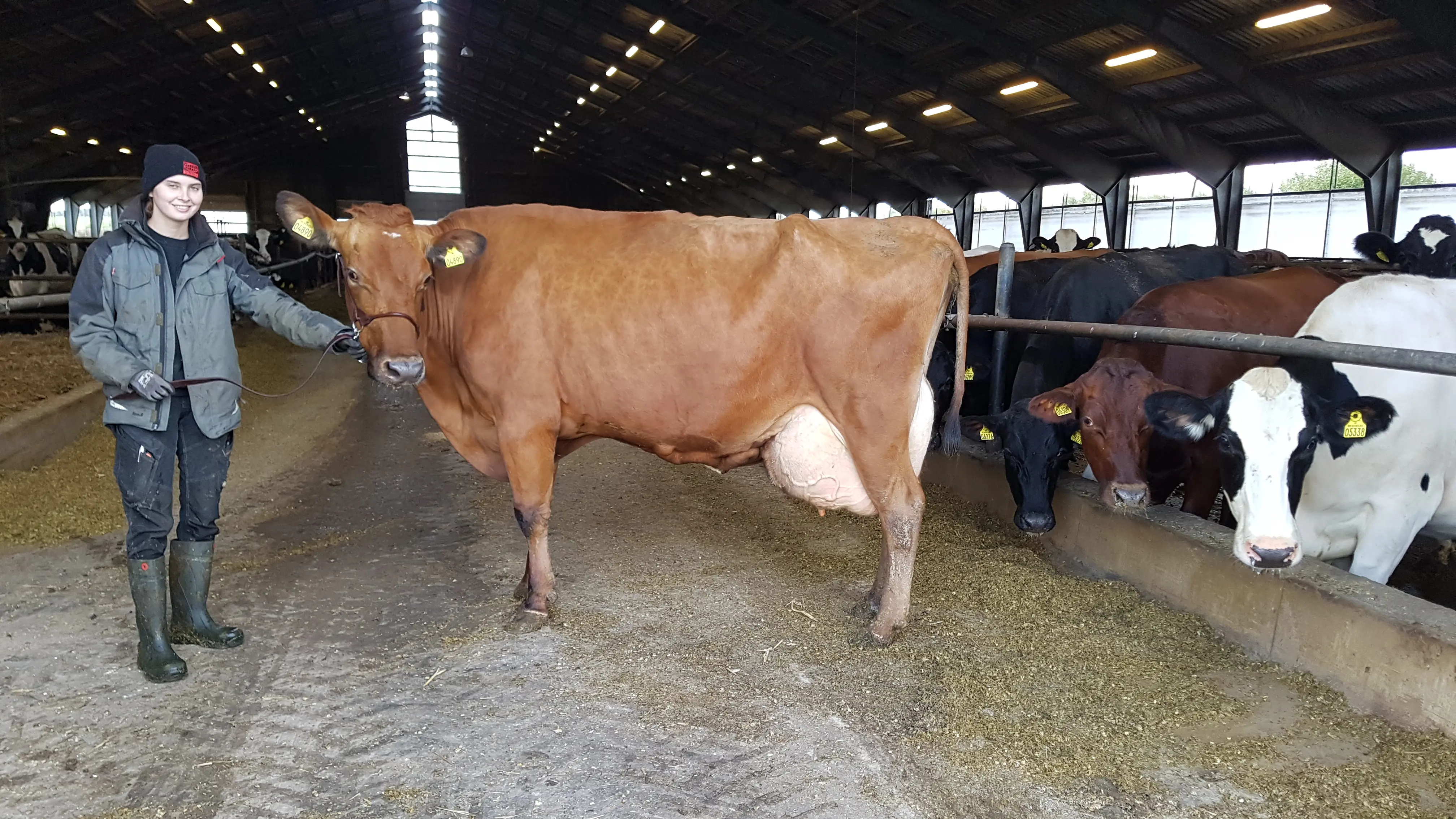 4890 På Fodergangen