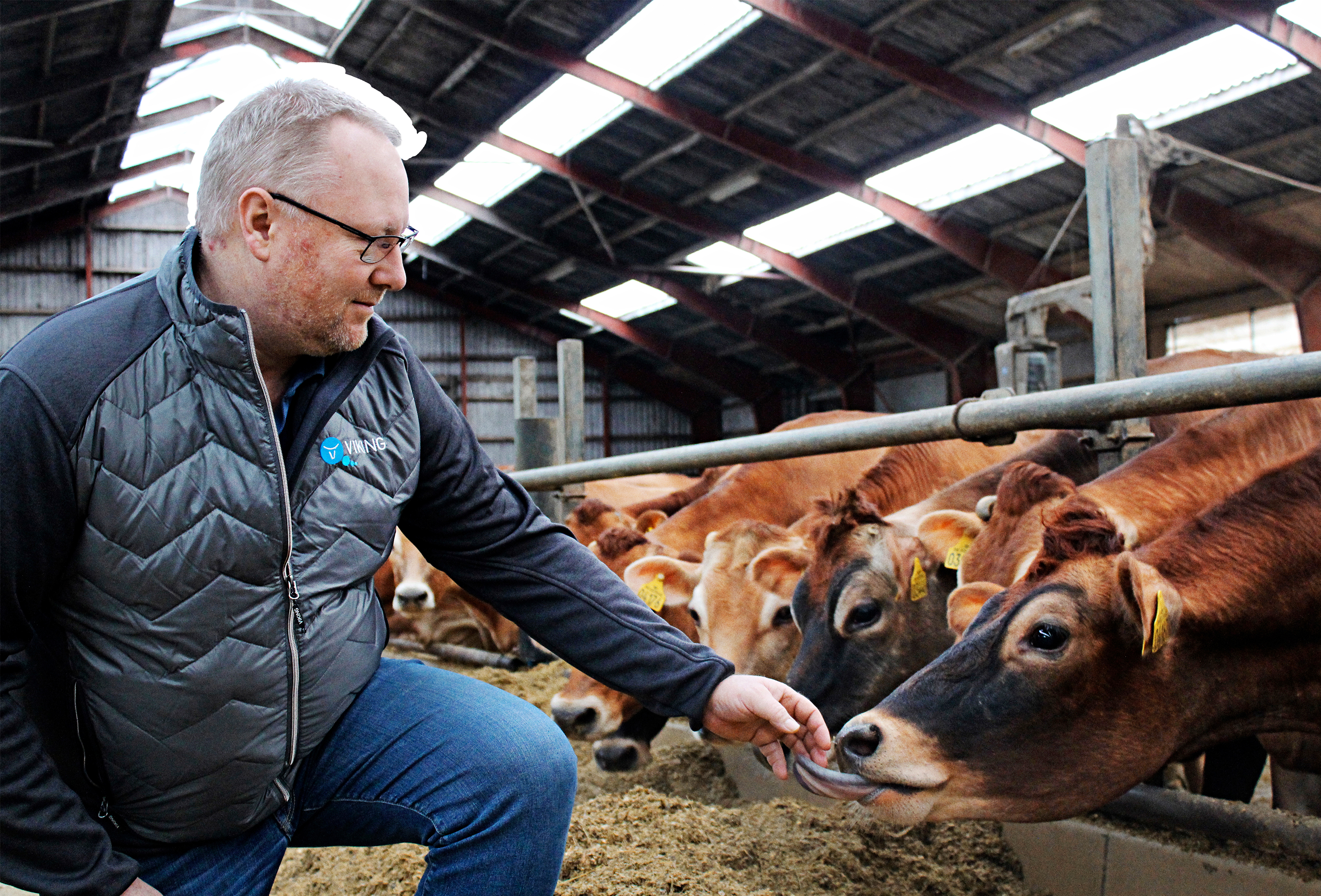 IMG 4807 Vn Srgb Web