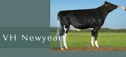 ARTICLE ENTRY TYR (24)