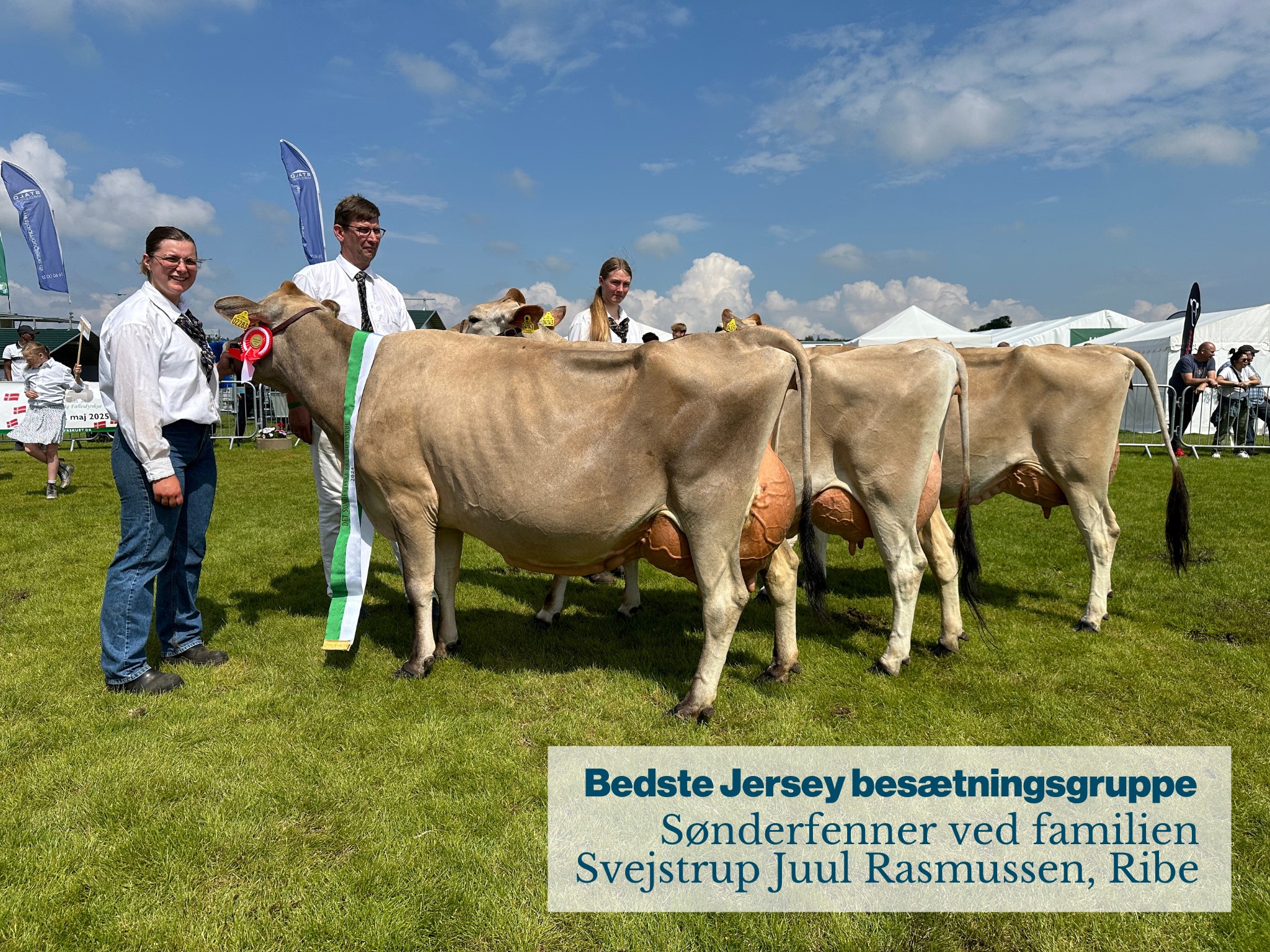 Bedste Jersey besætningsgruppe