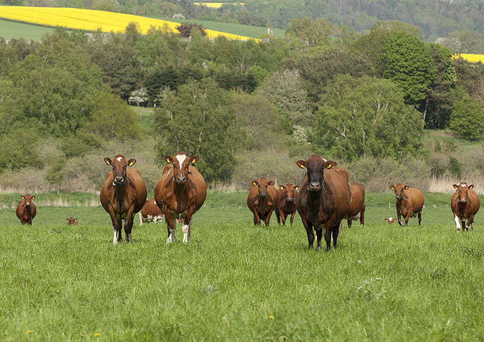 Lene Og Lars Jørgensen May2023 Ellygeverink