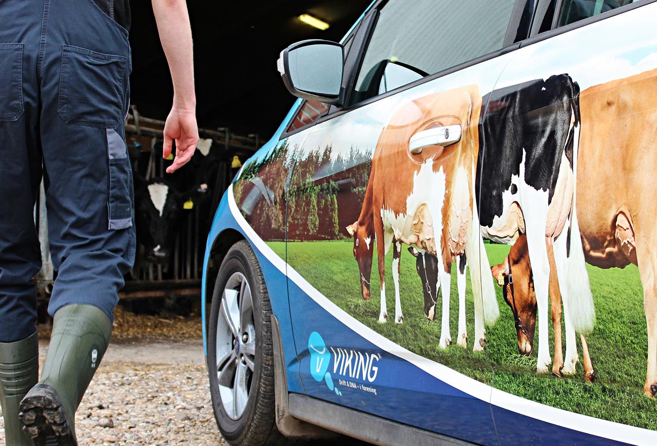 Om Os Img 3447 Srgb Web