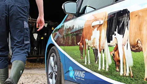 Om Os Img 3447 Srgb Web