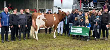 Miss Vendsyssel Og Crew