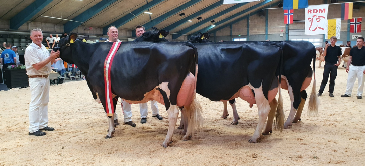 Untitled Design (39)