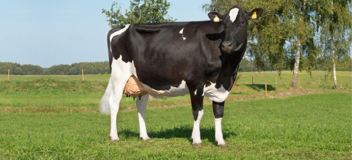 ARTICLE ENTRY TYR (9)