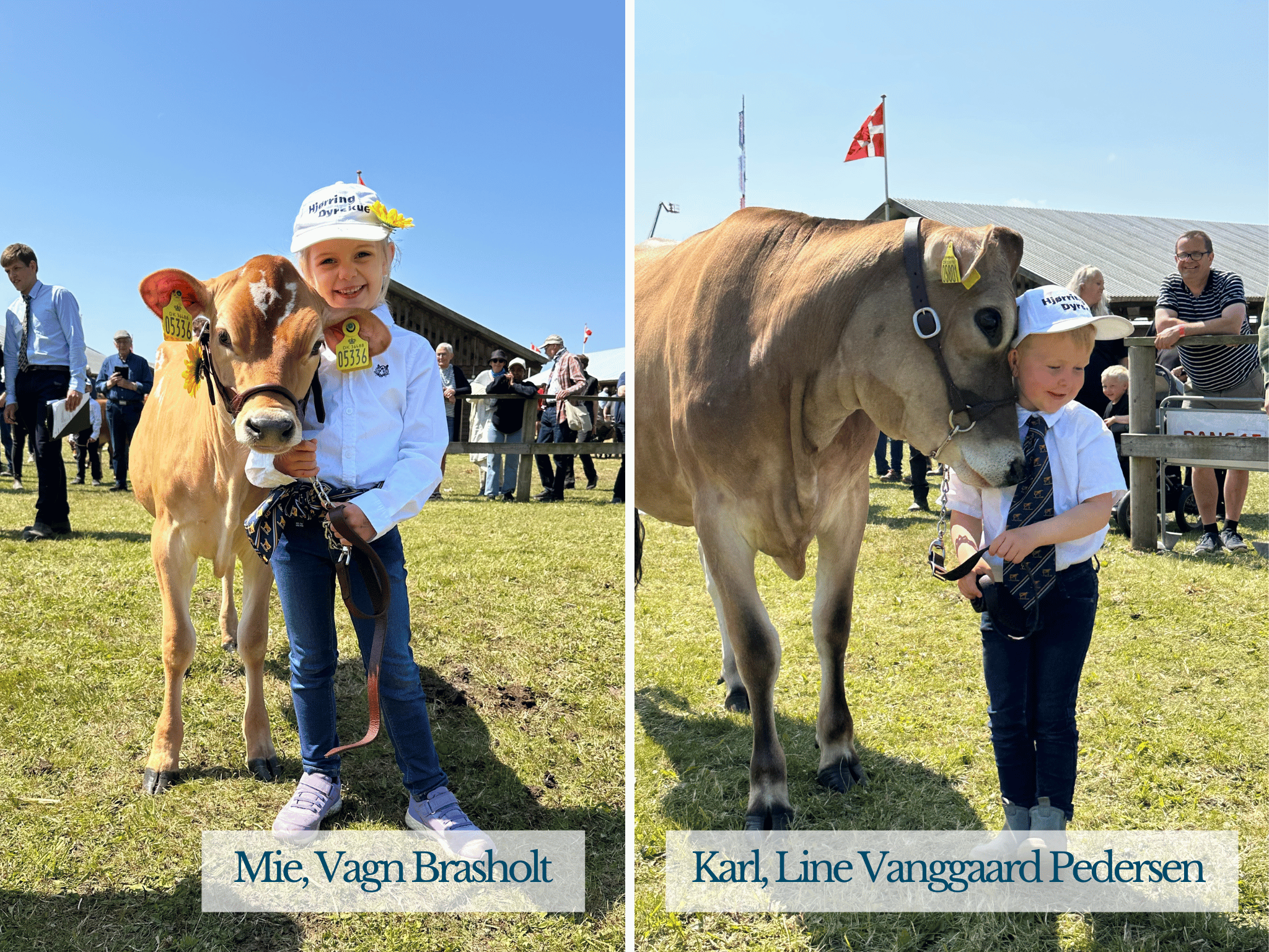 Stemningsbilleder Af Mie Og Karl, Hjørring Dyrskue