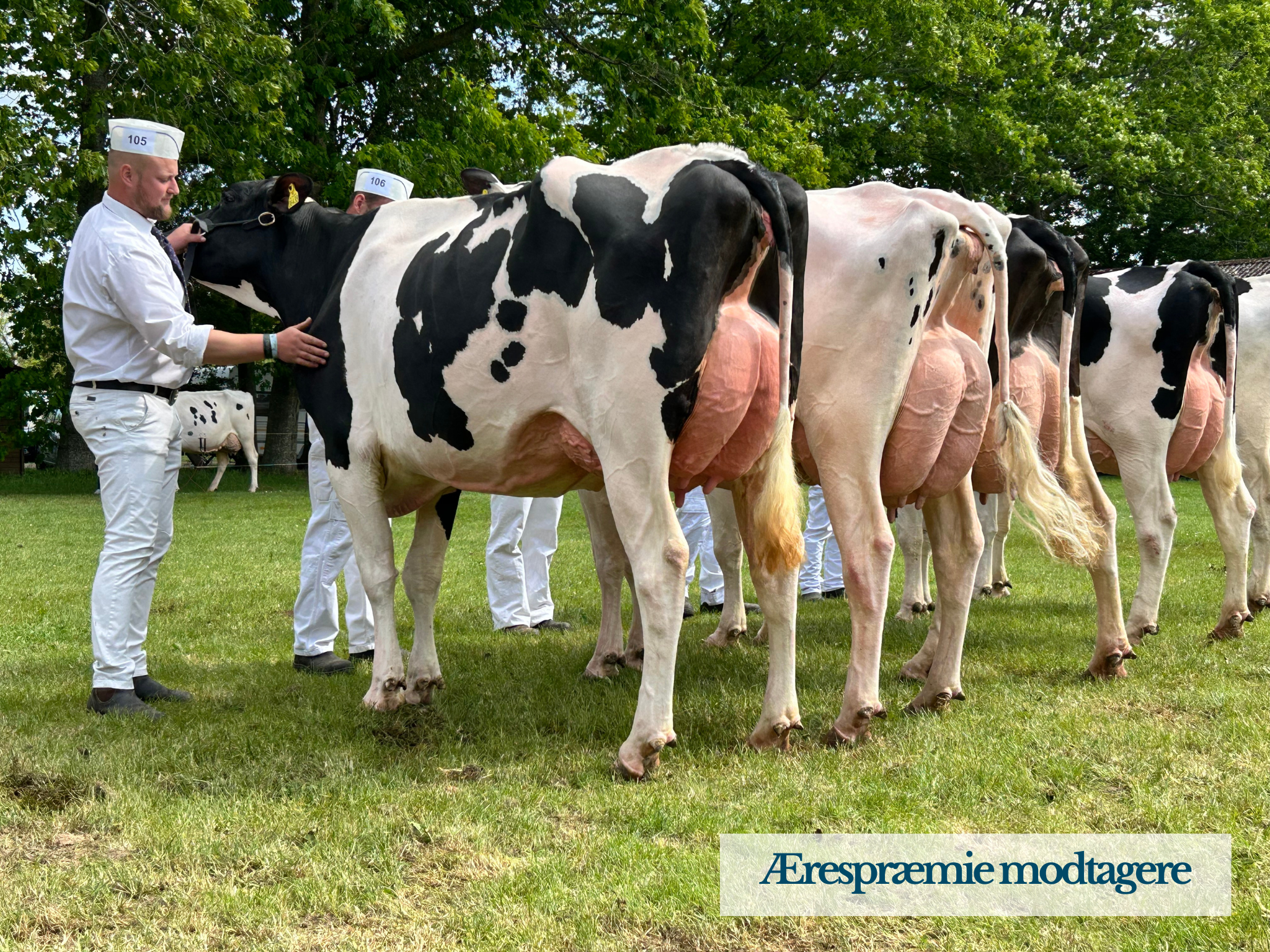 Ærespræmiemodtagere