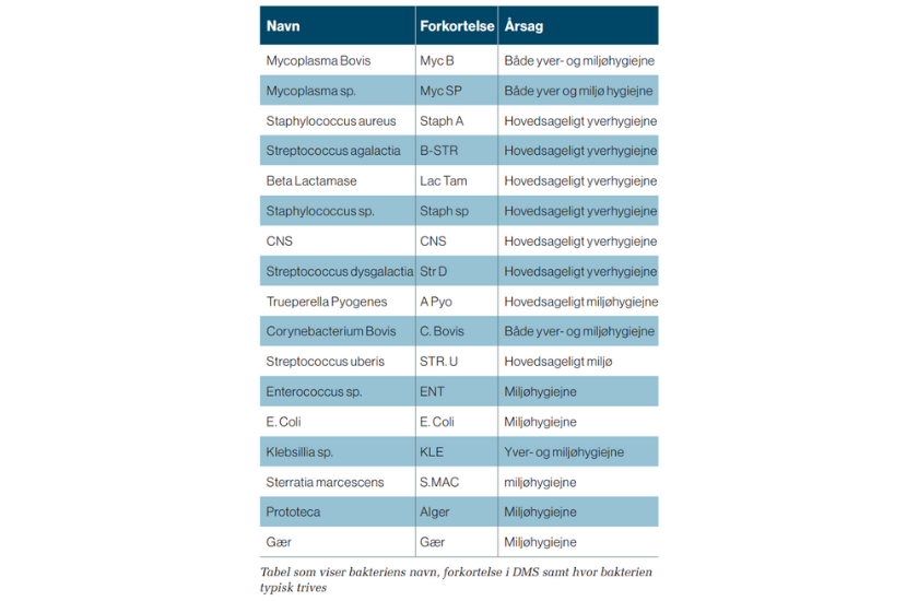 Tabel Som Viser Bakteriens Navn, Forkortelse I DMS Samt Hvor Bakterien Typisk Trives