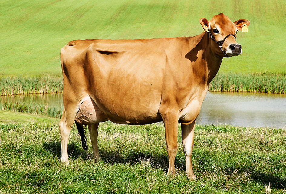 Vj Libero Daughter1 No 26341 1773 From Jørn Mikkelsen Hinnerup Scenic2 Vn Srgb Web (1)