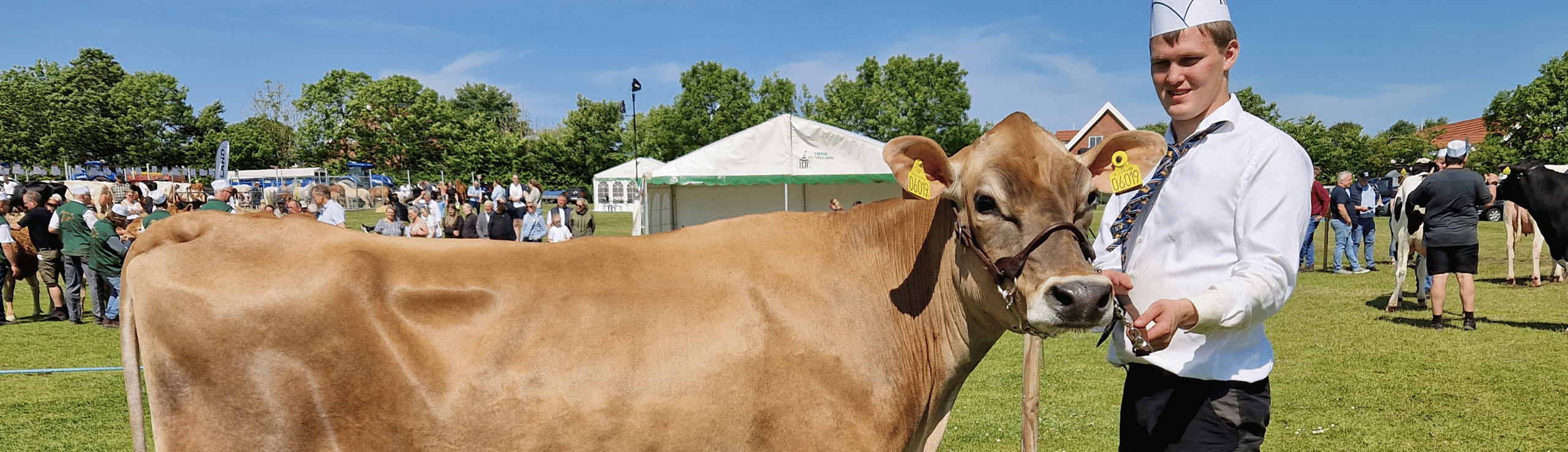 Bedste Yngre Jersey, Thy Mors Dyrskue