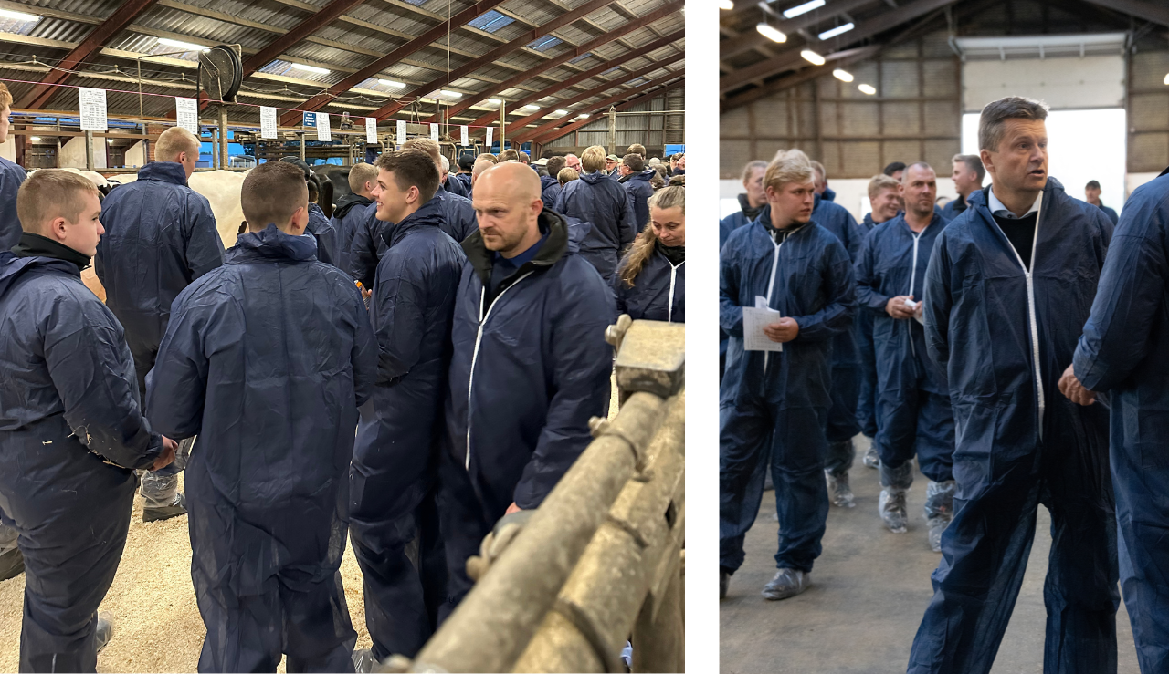 Gæsterne Nyder Det Sociale Samvær