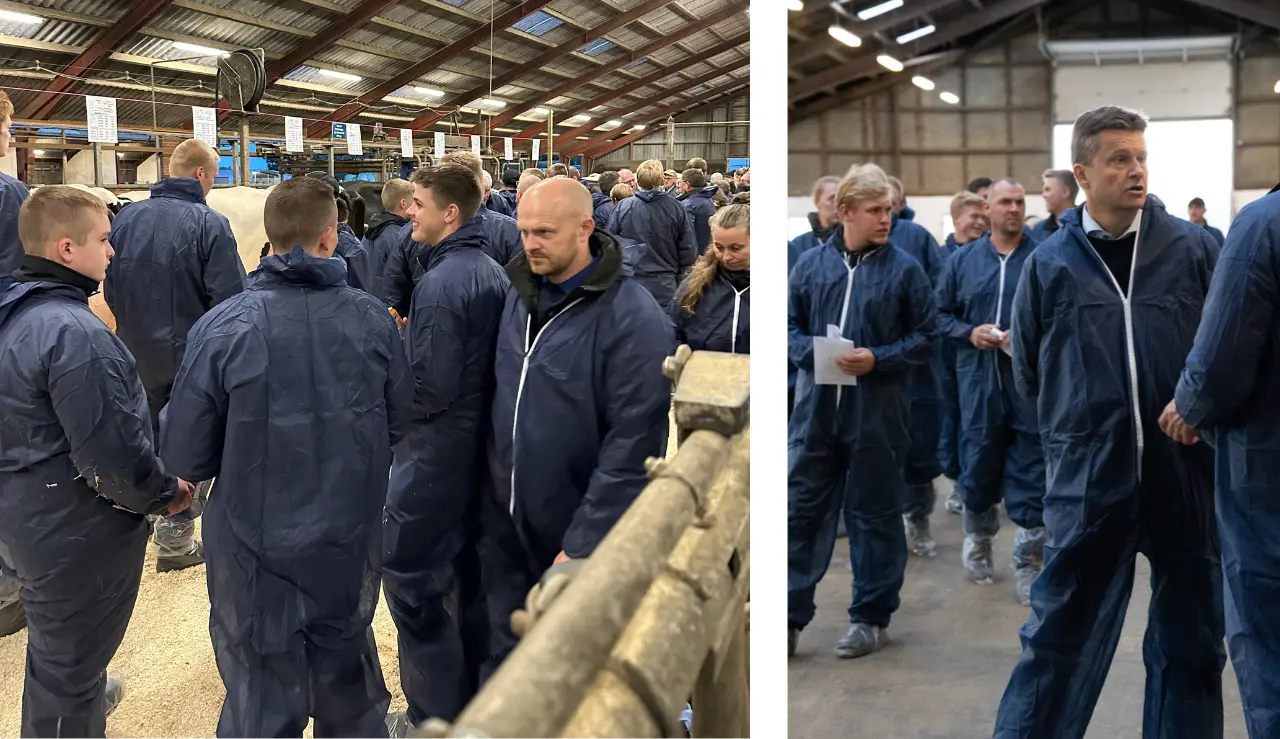 Gæsterne Nyder Det Sociale Samvær