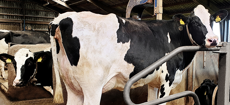 20200519 103843 Vn Web Srgb Web Oversigt