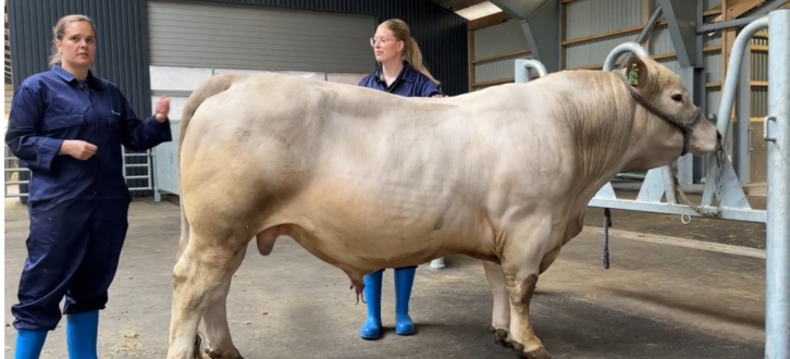 VB Timbapp Med Avlsrådgivere Kristina Og Sarah