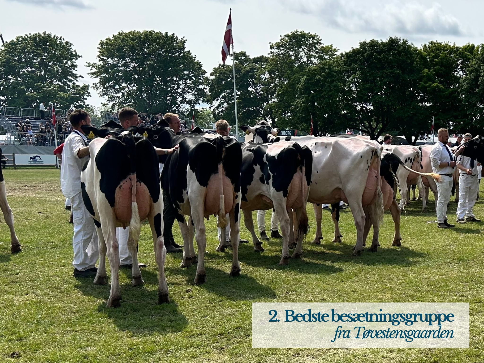 2. Bedste Besætningsgruppe